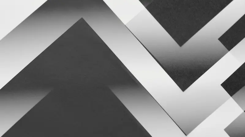 A stark black and white composition with strong tonal contrast