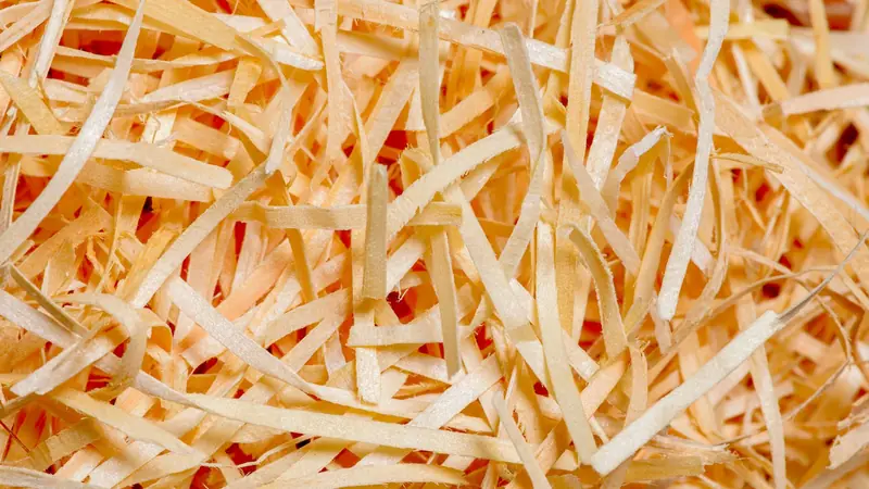 Shredded paper strips spilling from a document shredder
