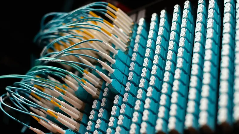 A patch panel with dozens of coloured network cables
