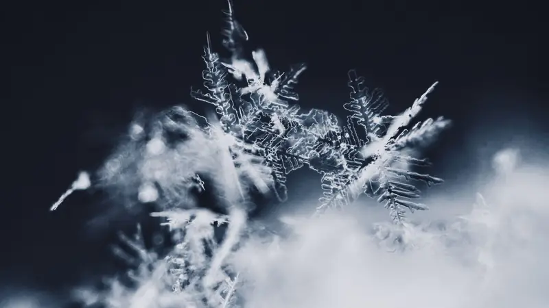 A single snow crystal photographed in close-up